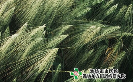 牛皮癣患者常见的不适症状有哪些?并发症有哪些?