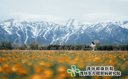 治疗牛皮肤癣的草药图片全身图片