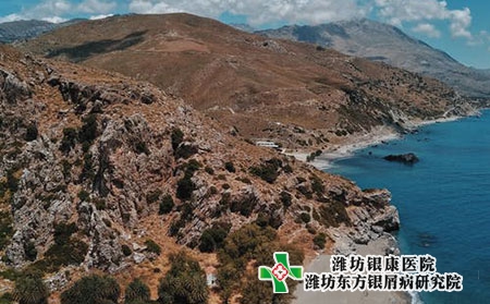 腿上牛皮肤癣图片症状图片头部