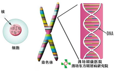 银屑病可善挺需要终身打吗作用与功效