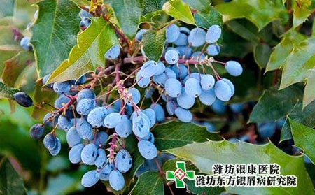 【二月二】潍坊牛皮癣医院提醒您注意饮食健康！