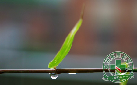 秋雨连绵天银屑病患者如何祛湿