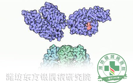 探讨热休克蛋白70对银屑病成纤维细胞表达IL-6的影响