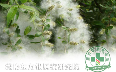 柳絮纷飞，牛皮癣患者需正确预防过敏
