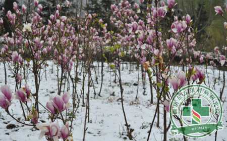 春季降雪银屑病患者该怎么自我护理