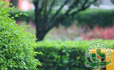 春雨后空气湿 银屑病患者怎么办