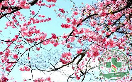 春城无处不飞花，银屑病患者护理新标准