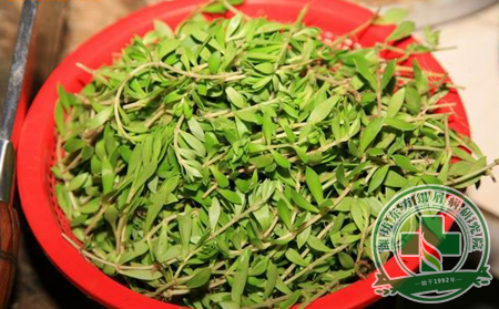 增寿又美颜！银屑病患者首推四大食材
