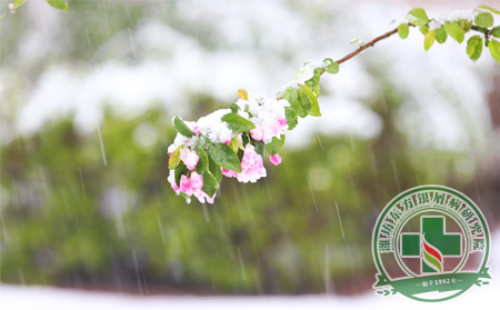 淅沥春雨心情欠佳 银屑病患者如何开心起来