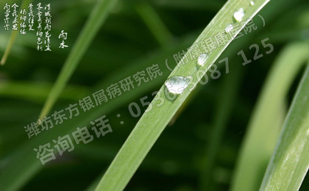 雨水节气银屑病患者护理的重点